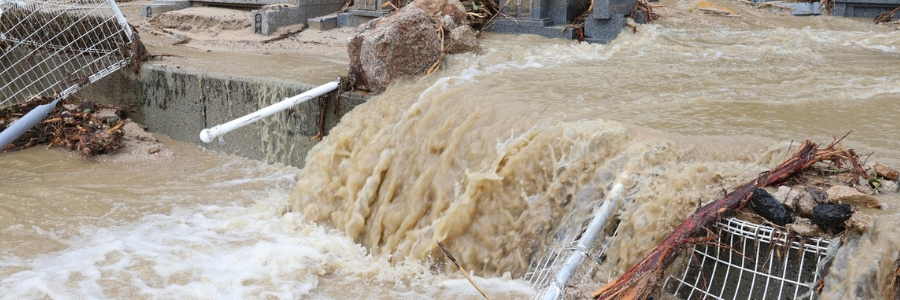 洪水のイメージ